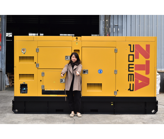 Grupo electrógeno diésel ZTA Power SDEC de 250 kVA